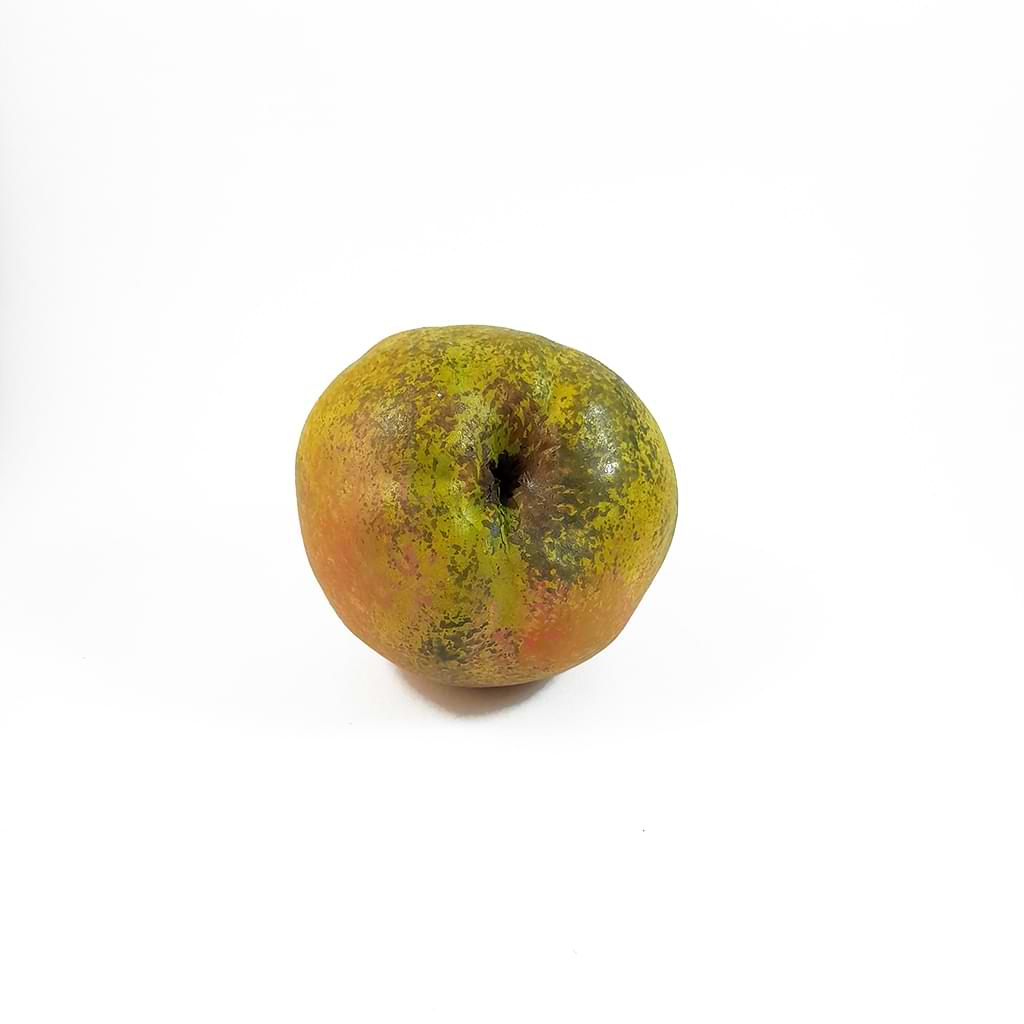 Νικόλας Μπλιάτκας.Κεραμικό φρούτο με πηλό stoneware ψημένο στους 1080 C και επιζωγραφισμένο με ακρυλικά χρώματα με μεταλλικό κοτσάνι από μπρούτζο. Πίσω όψη