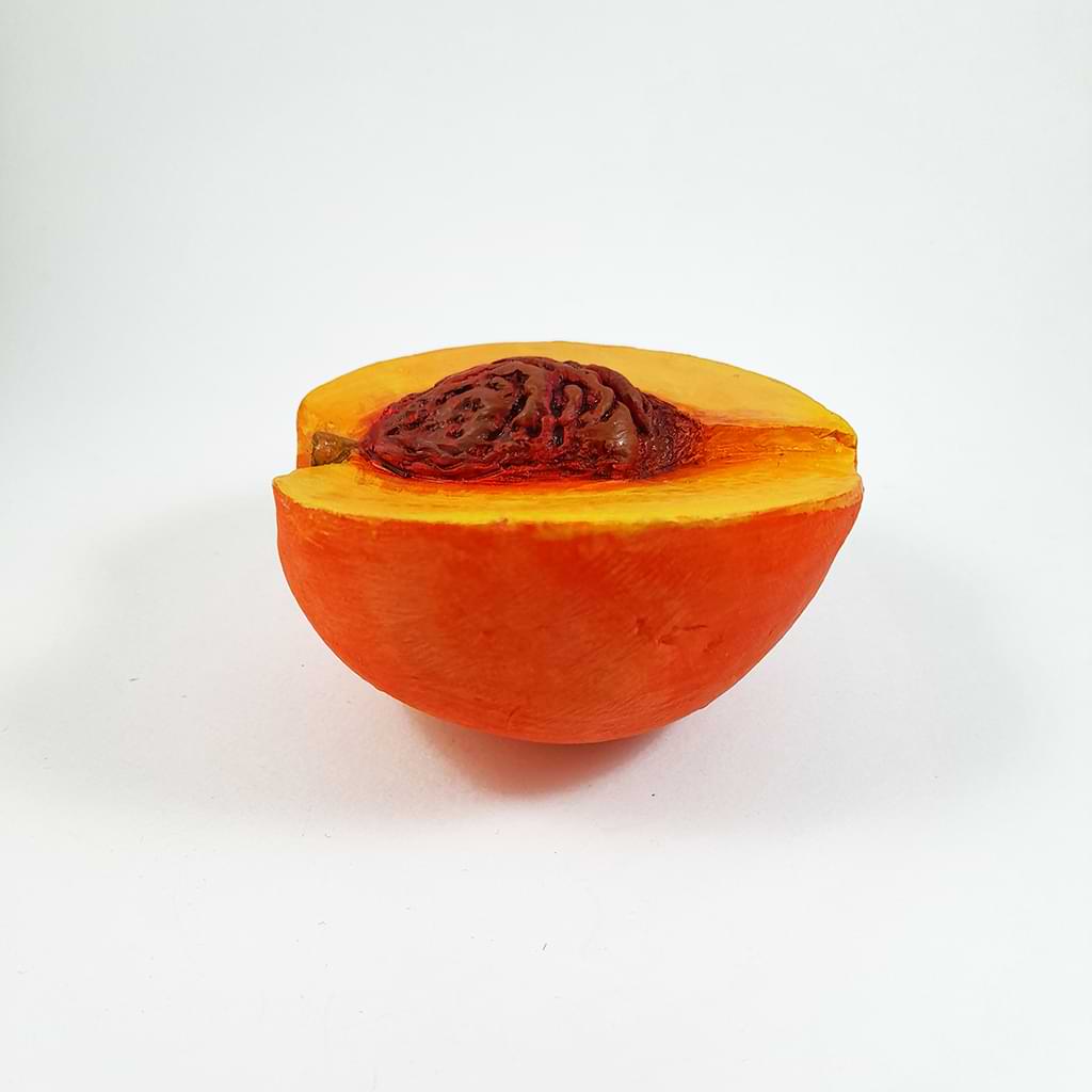 Nikolas Bliatkas. Ceramic fruit-peach cut in half with stoneware clay baked at 1080 C and painted with acrylic paints. Side view
