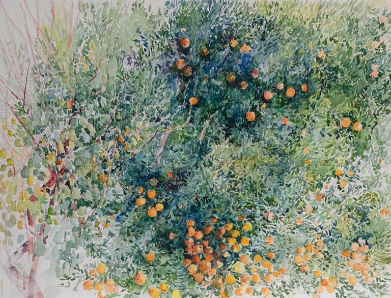 Watercolor M. Tzirozidou 61x46 cm. with mandarin trees