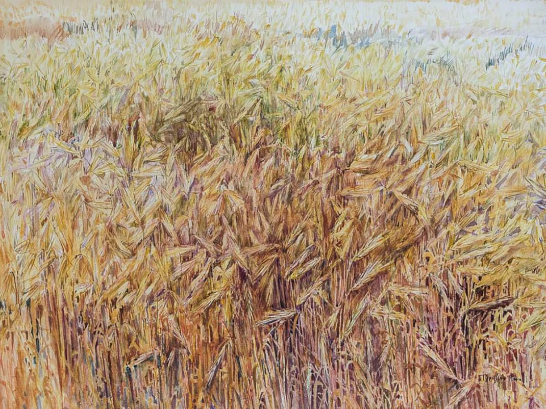 Watercolor by M. Tzirozidou with a field of wheats in summer colors 